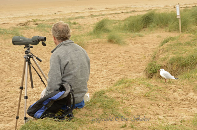 Nan birdwatching with seagull behind him
