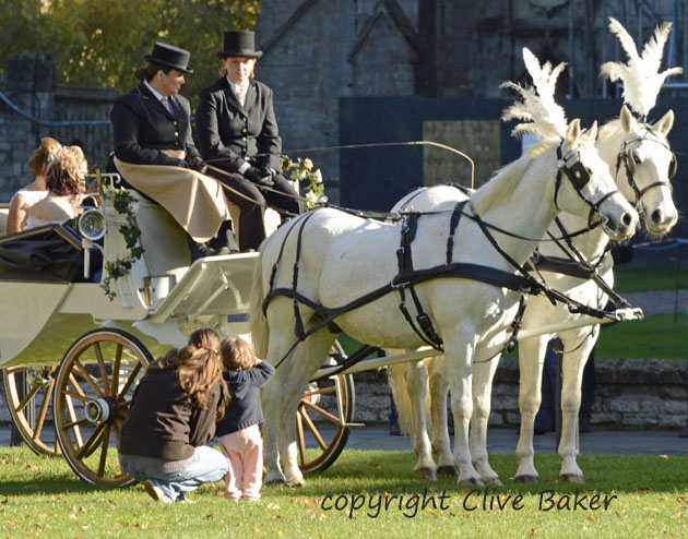 Horses  and carriage