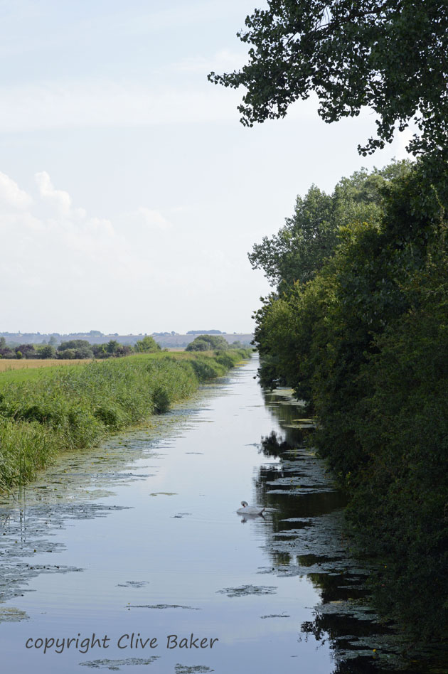 Large water filled drain edged by trees