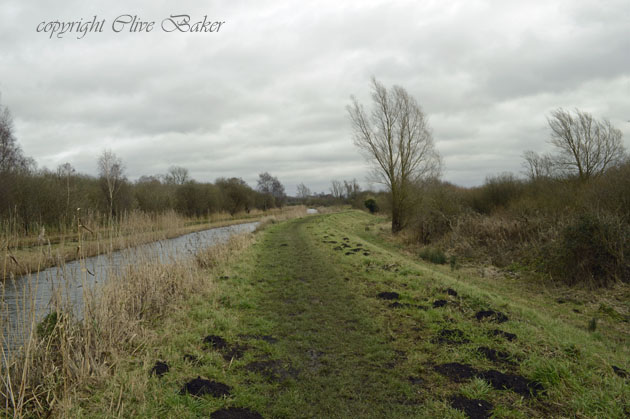 Muddy footpath beside small river