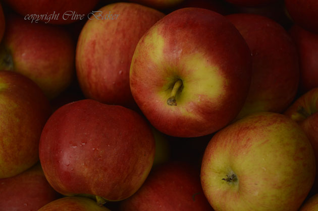 A large crop of red apples