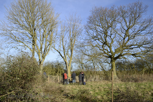 Standing by the big trees