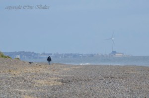 Man and dog walking in the distance along beach